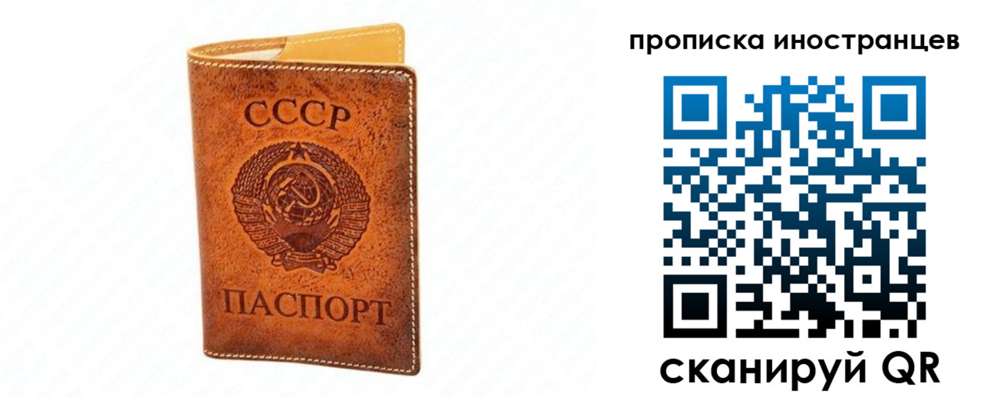 прописка для школы в Киржаче